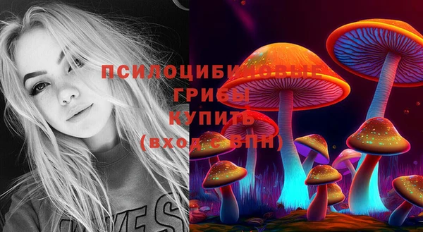 первитин Арсеньев