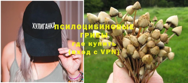 первитин Арсеньев