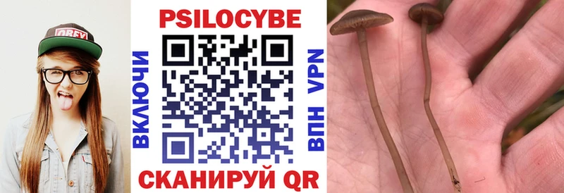 даркнет клад  Полярный  Галлюциногенные грибы MAGIC MUSHROOMS 